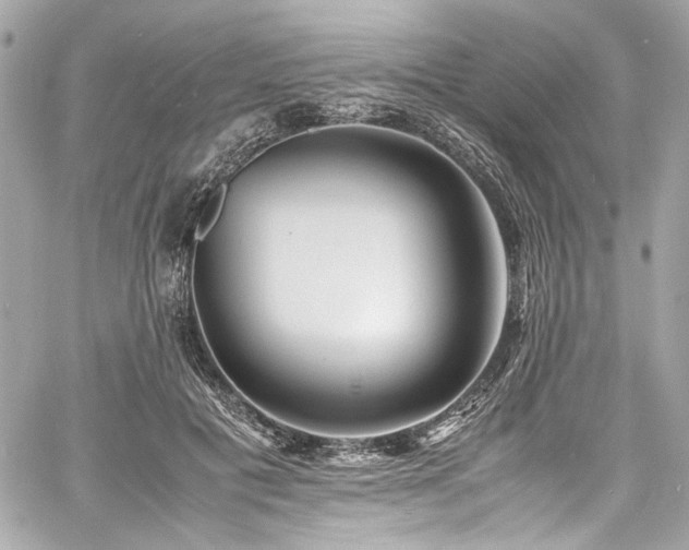 X0000060750601200511101117