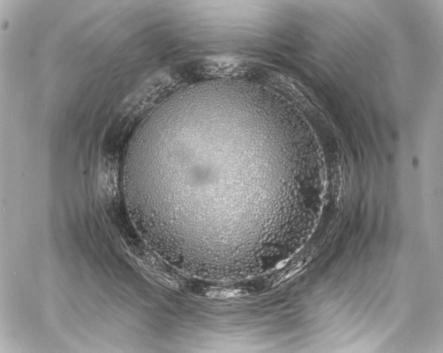 X0000060750602200511101117