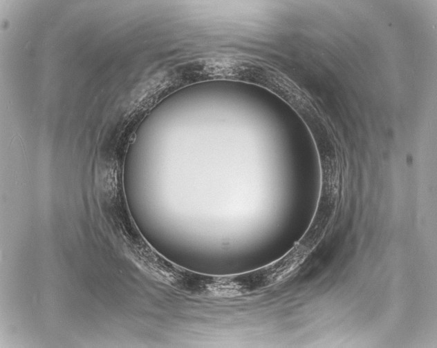 X0000060750603200511101117