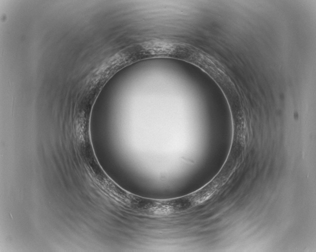 X0000060750604200511101117