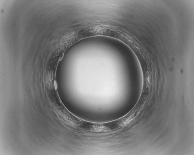 X0000060750605200511101117