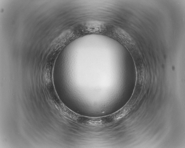 X0000060750606200511101117