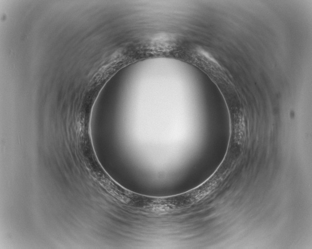 X0000060750608200511101117