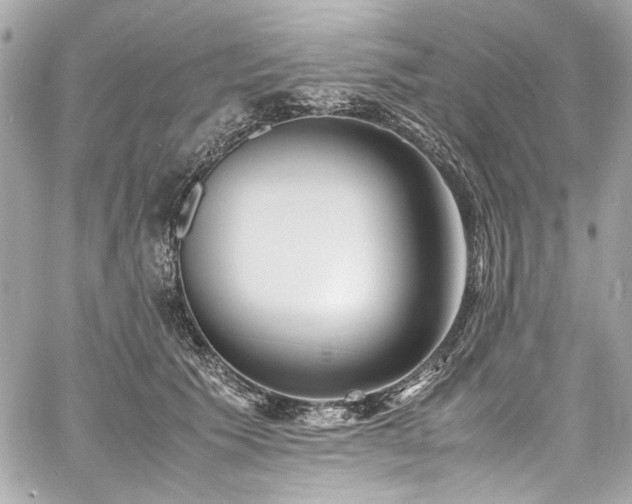 X0000060750609200511101117