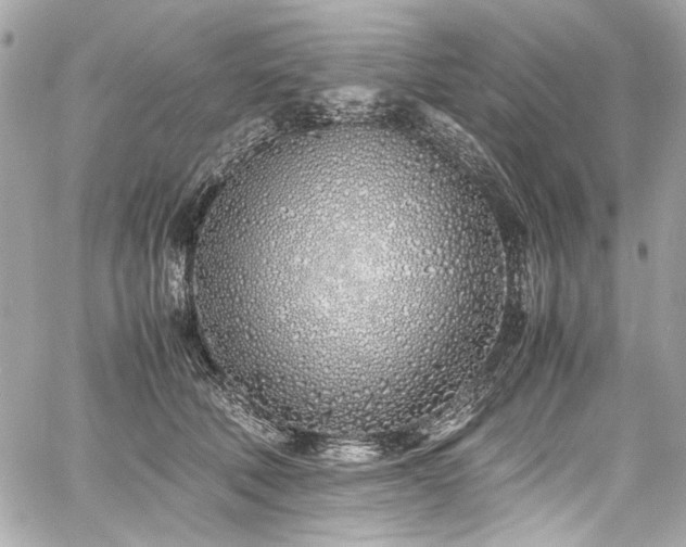 X0000060750610200511101117