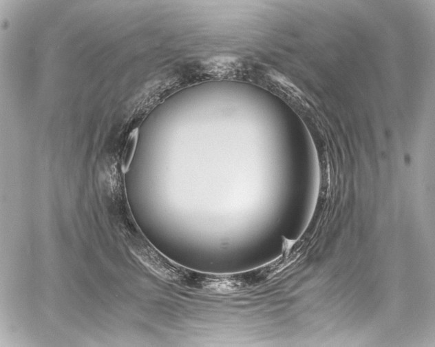 X0000060750611200511101117