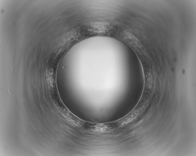 X0000060750612200511101117