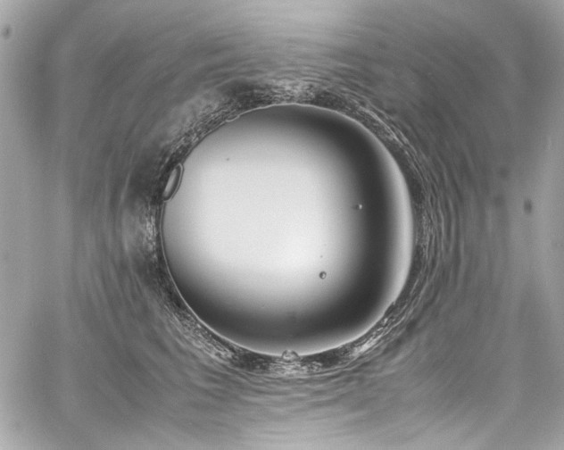 X0000060750613200511101117