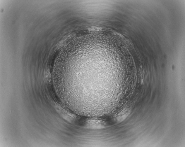 X0000060750614200511101117