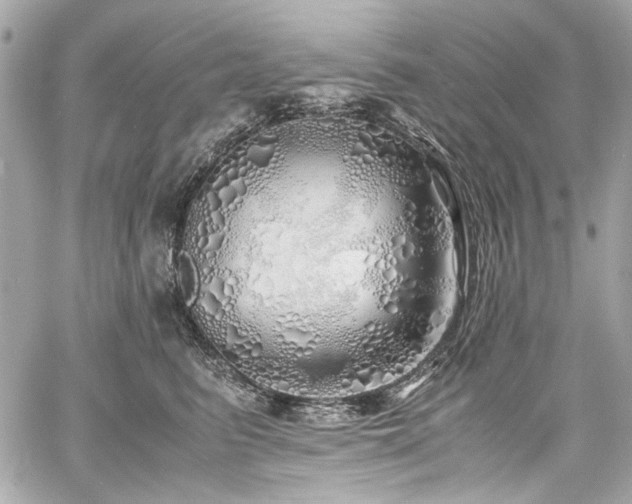 X0000060750615200511101117