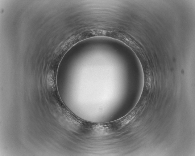 X0000060750616200511101117