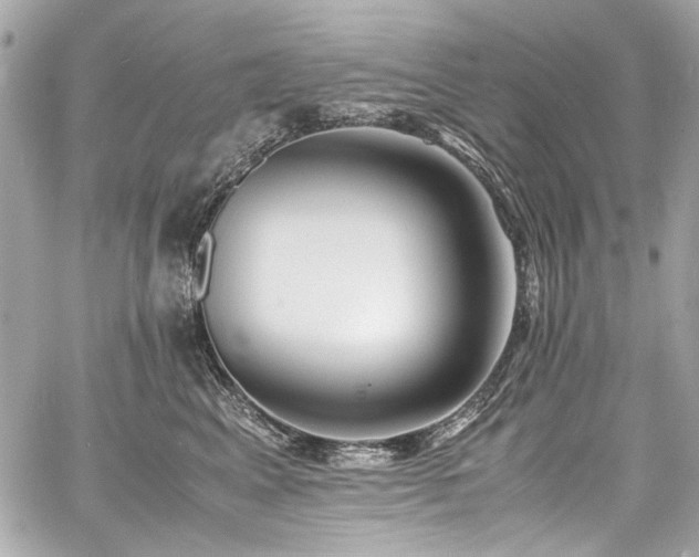 X0000060750617200511101117