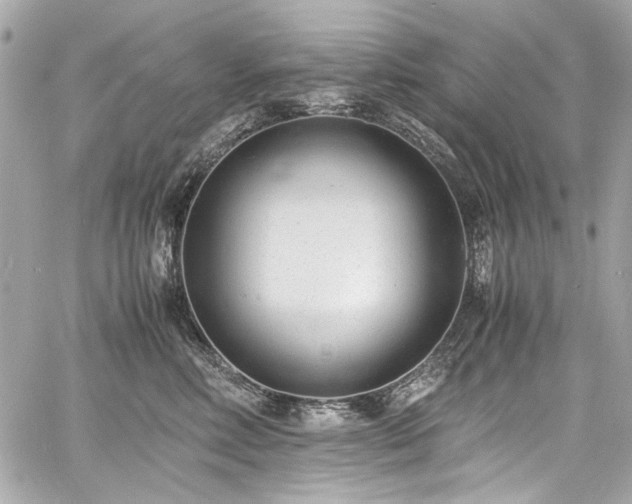 X0000060750618200511101117