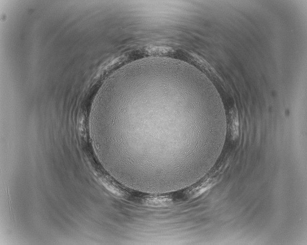 X0000060750619200511101117