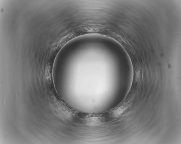 X0000060750620200511101117