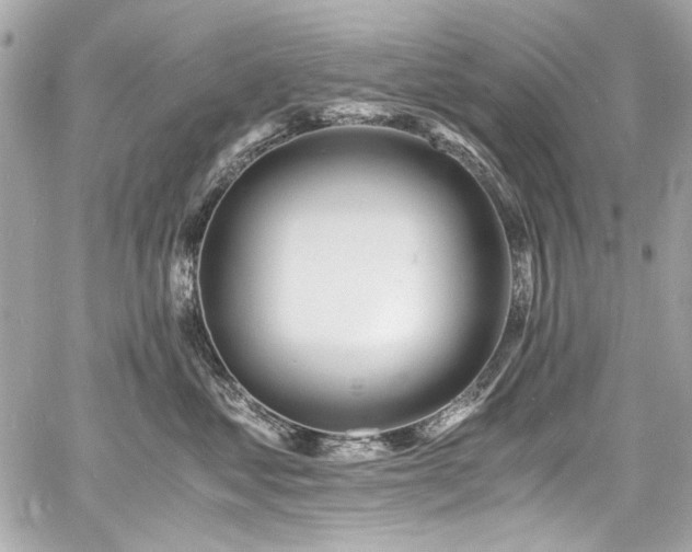 X0000060750621200511101117