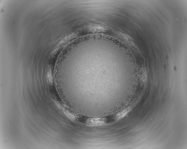 X0000060750622200511101117