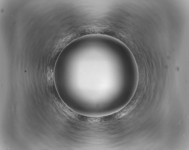 X0000060750624200511101117