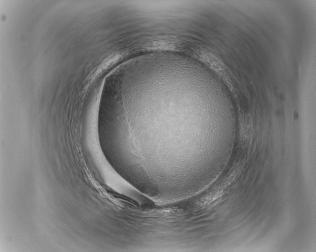 X0000060750625200511101116