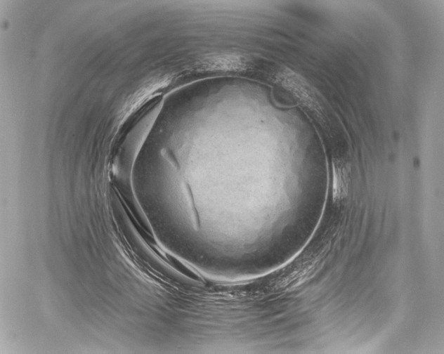 X0000060750627200511101116