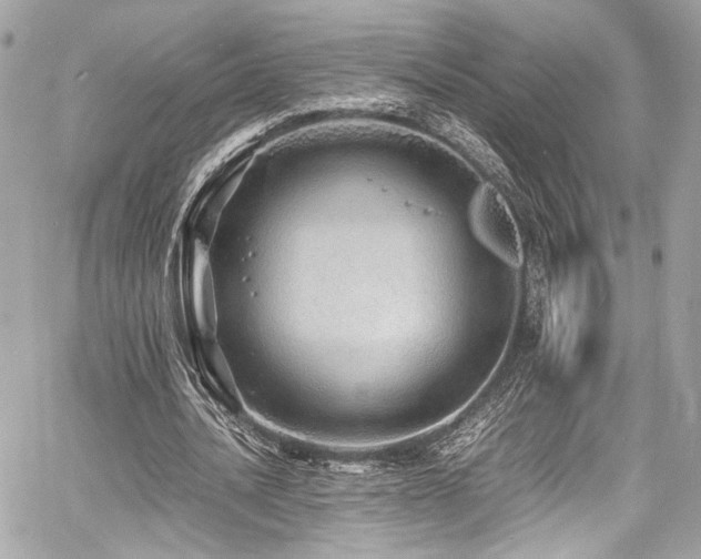 X0000060750628200511101116