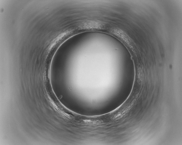 X0000060750629200511101116