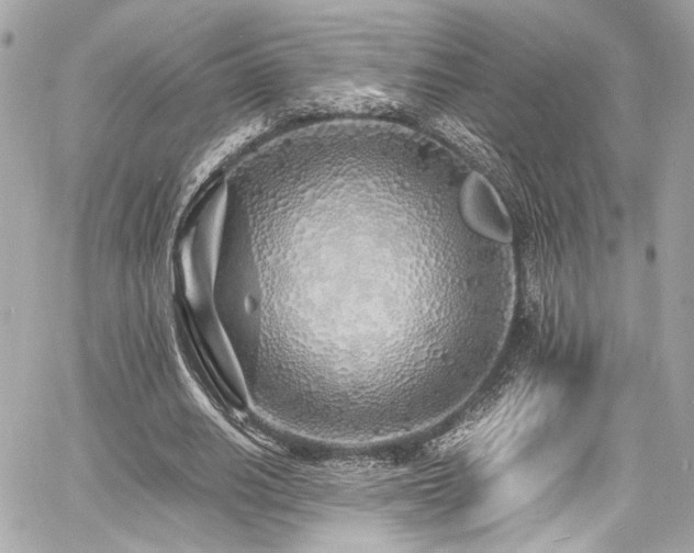 X0000060750630200511101116