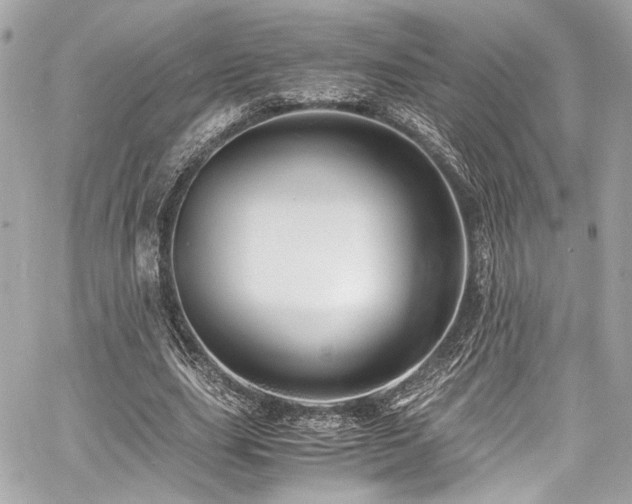 X0000060750631200511101116