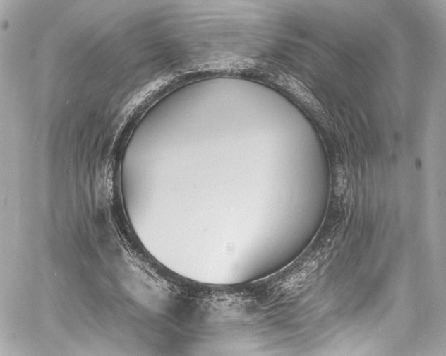 X0000060750632200511101116