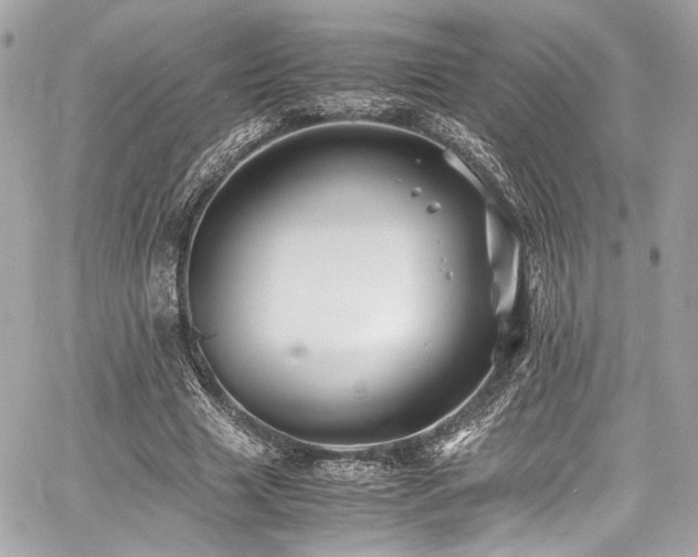 X0000060750633200511101116