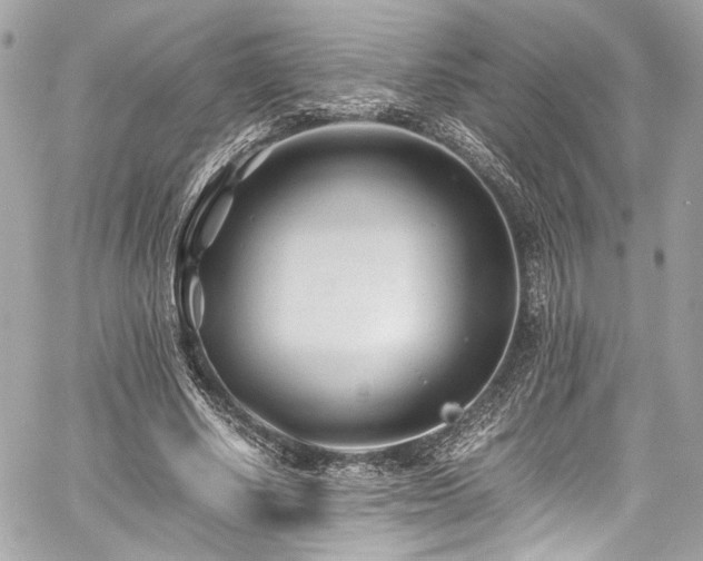 X0000060750634200511101116