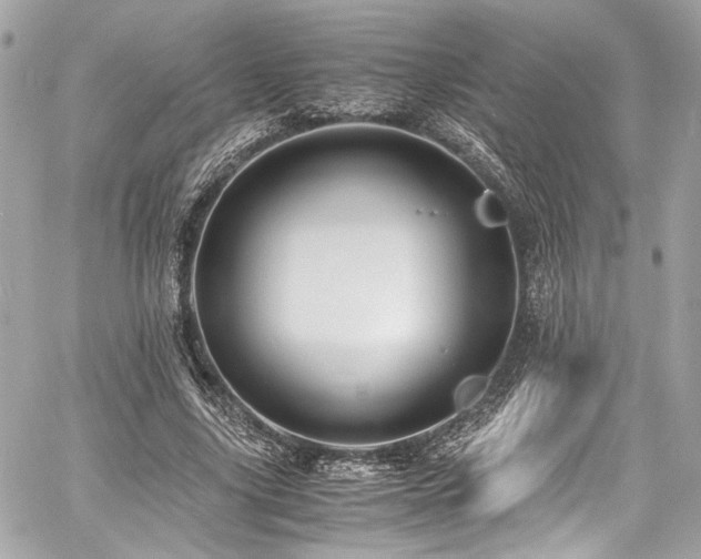 X0000060750635200511101116