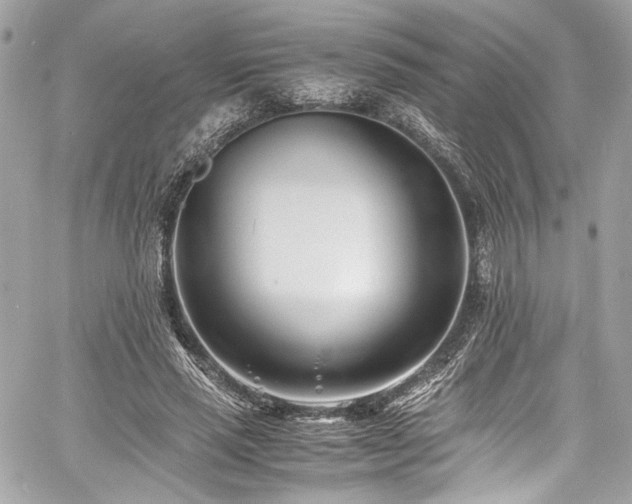 X0000060750637200511101116