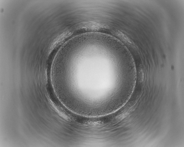 X0000060750638200511101116