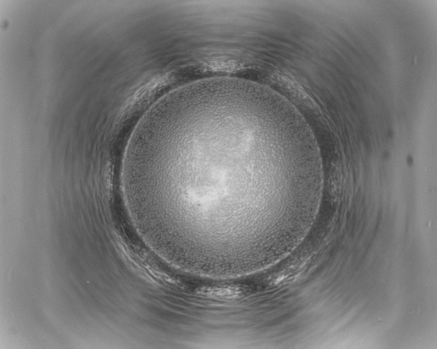 X0000060750639200511101116