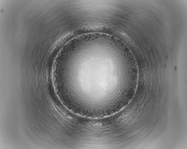 X0000060750640200511101116