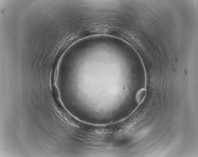 X0000060750641200511101116