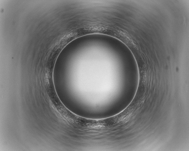 X0000060750643200511101117