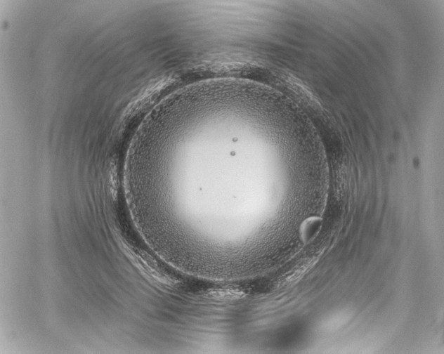 X0000060750644200511101117