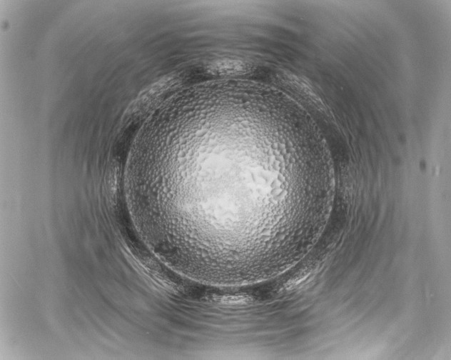 X0000060750645200511101117