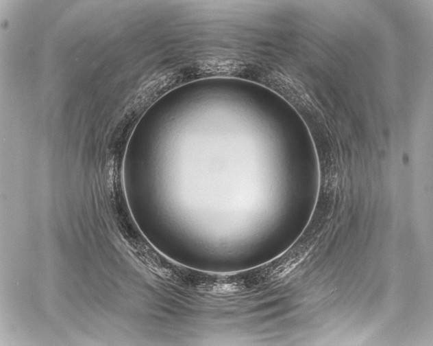 X0000060750647200511101117