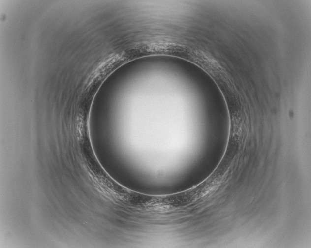 X0000060750648200511101117