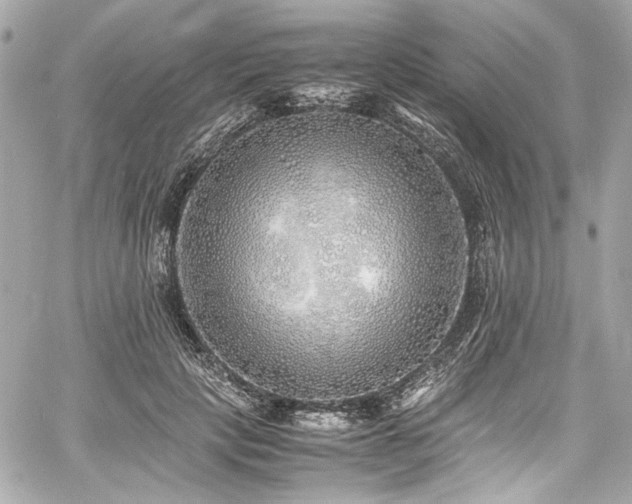 X0000060750649200511101117