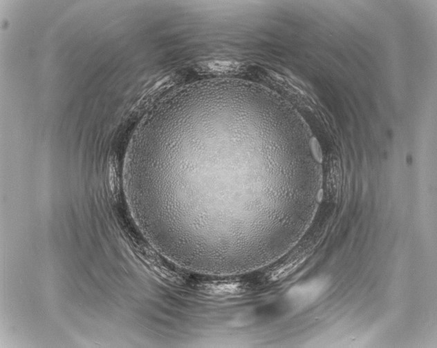 X0000060750651200511101117