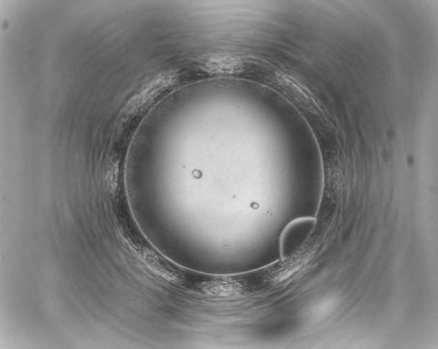 X0000060750652200511101117