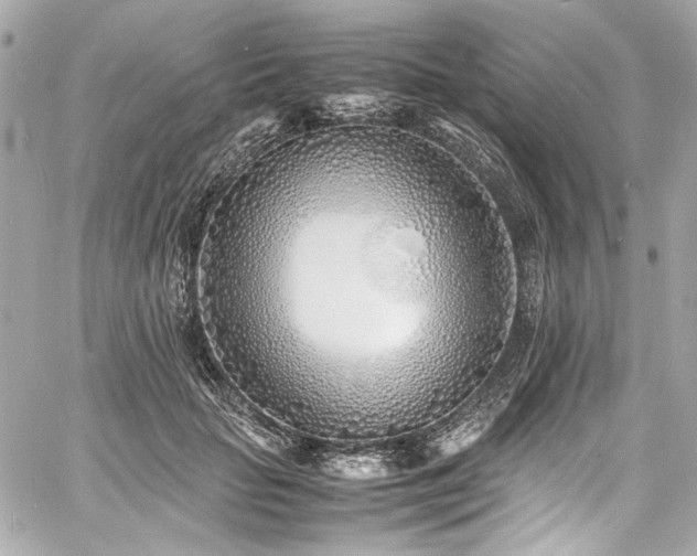 X0000060750653200511101117