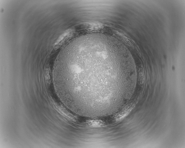 X0000060750654200511101117