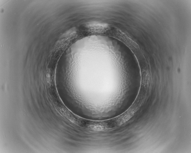 X0000060750655200511101117