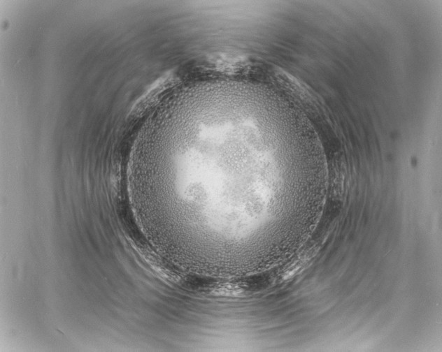 X0000060750656200511101117