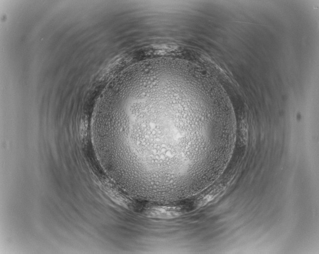 X0000060750657200511101117